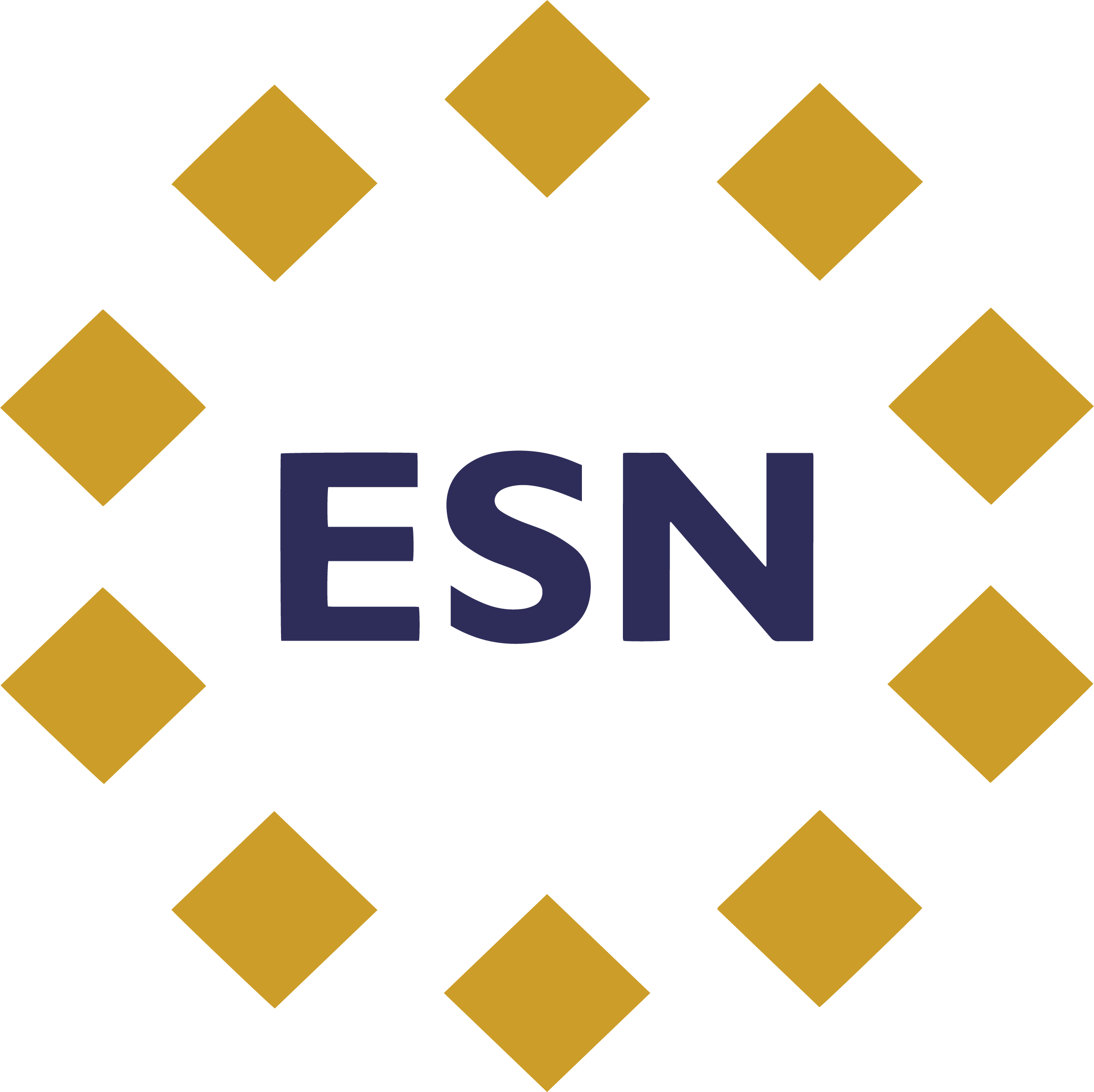 logo esn